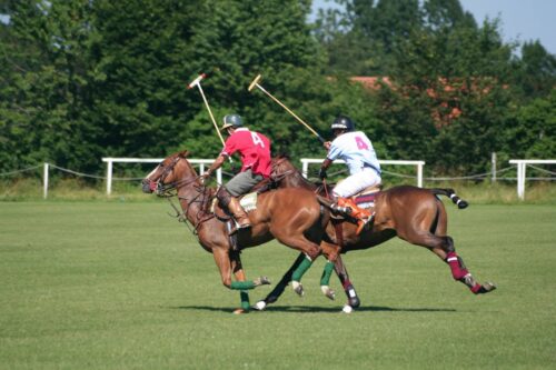 polo-and-polocrosse-equestrian-discipline-guide