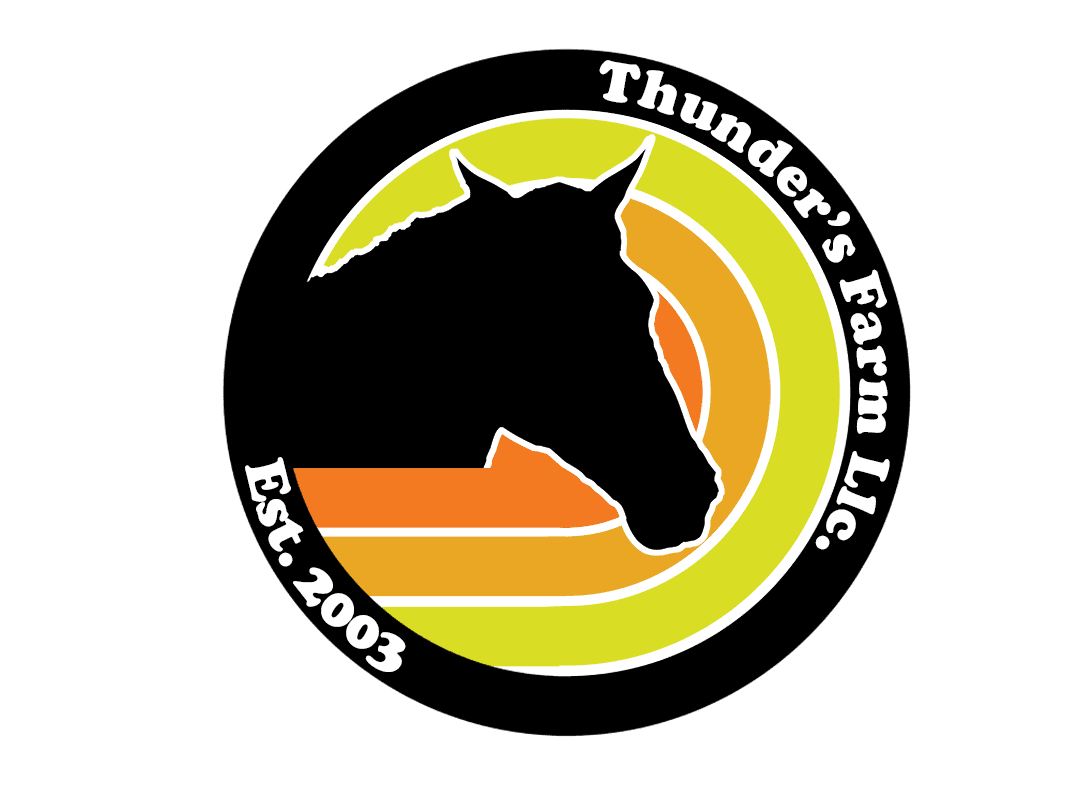 Sara Etter - Boarding Stable