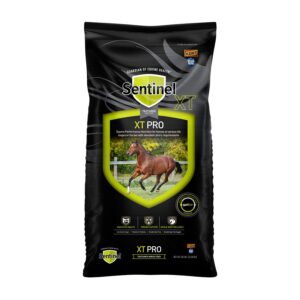 Sentinel XT Pro (Blue Seal)