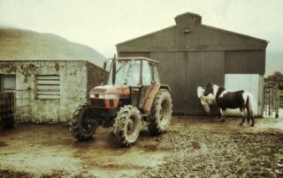 equine farm chores