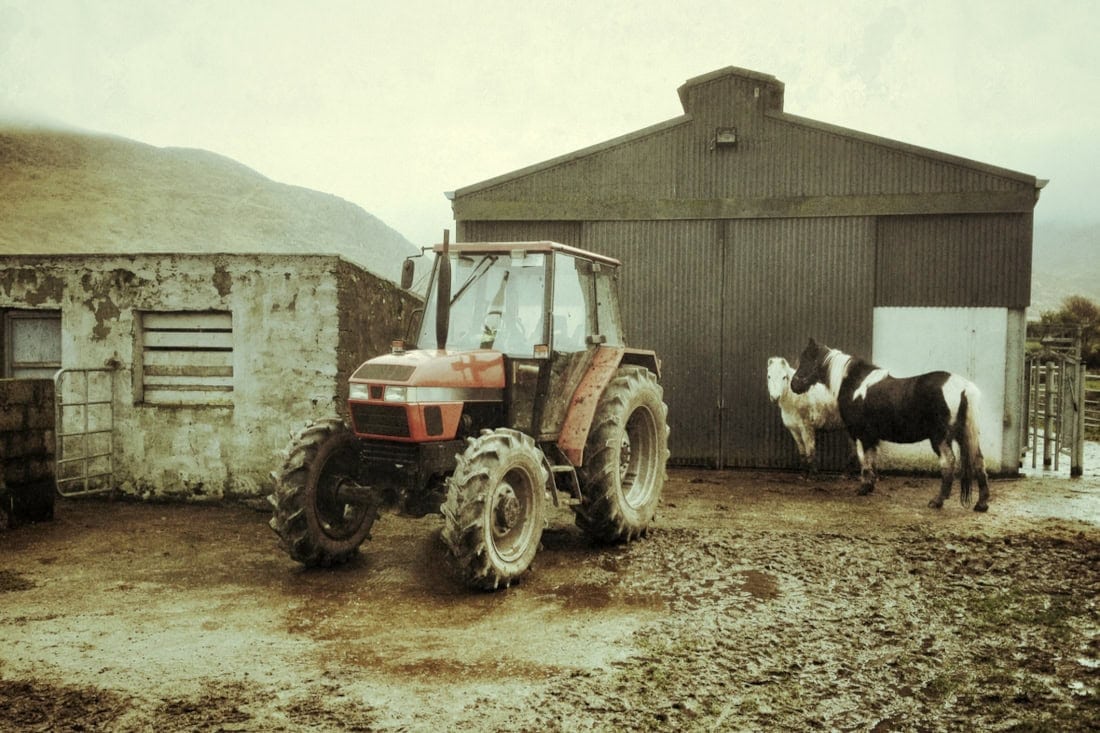 Dirty Jobs on the Horse Farm: Unpleasant Tasks in Equine Management