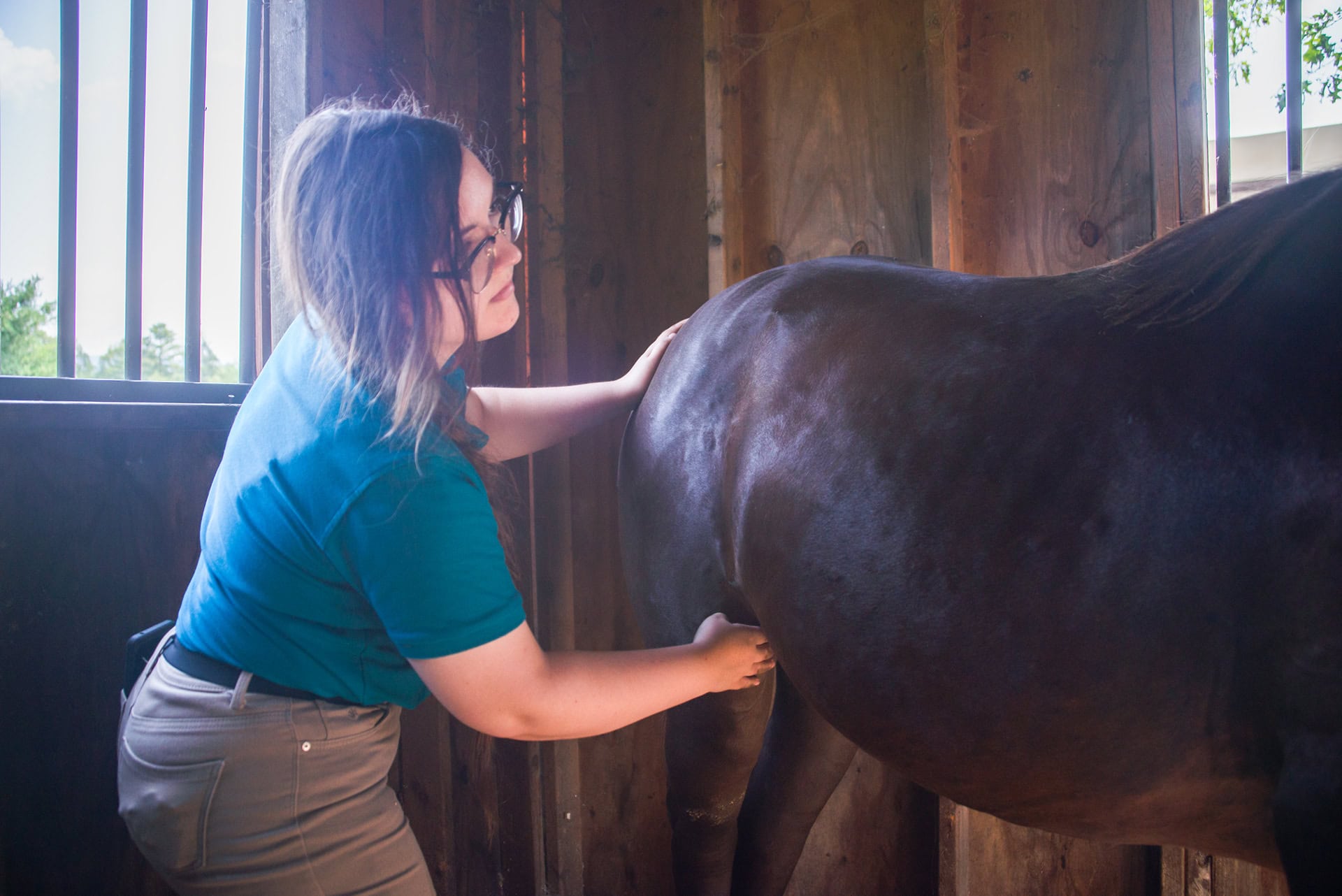 Tayla Howerton - Equine Massage Therapist