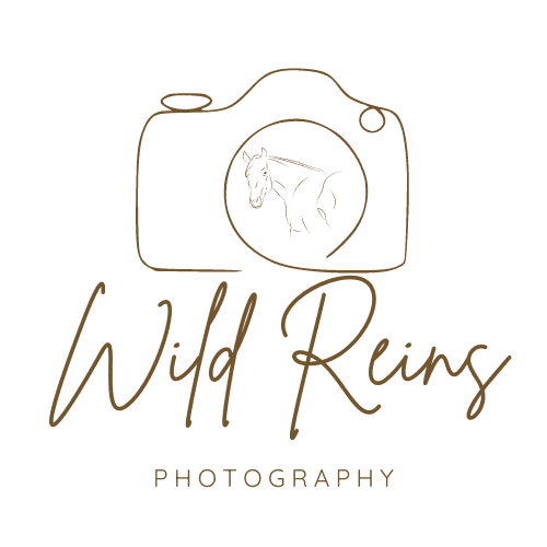 Kayla Green - Equine Photographer