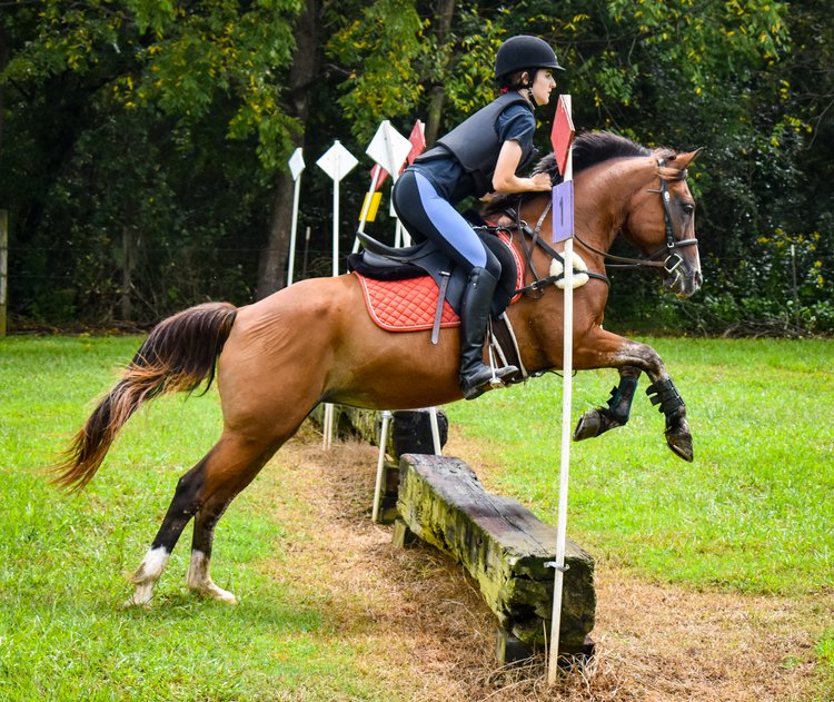 Celestial Riding Academy - Riding Lesson