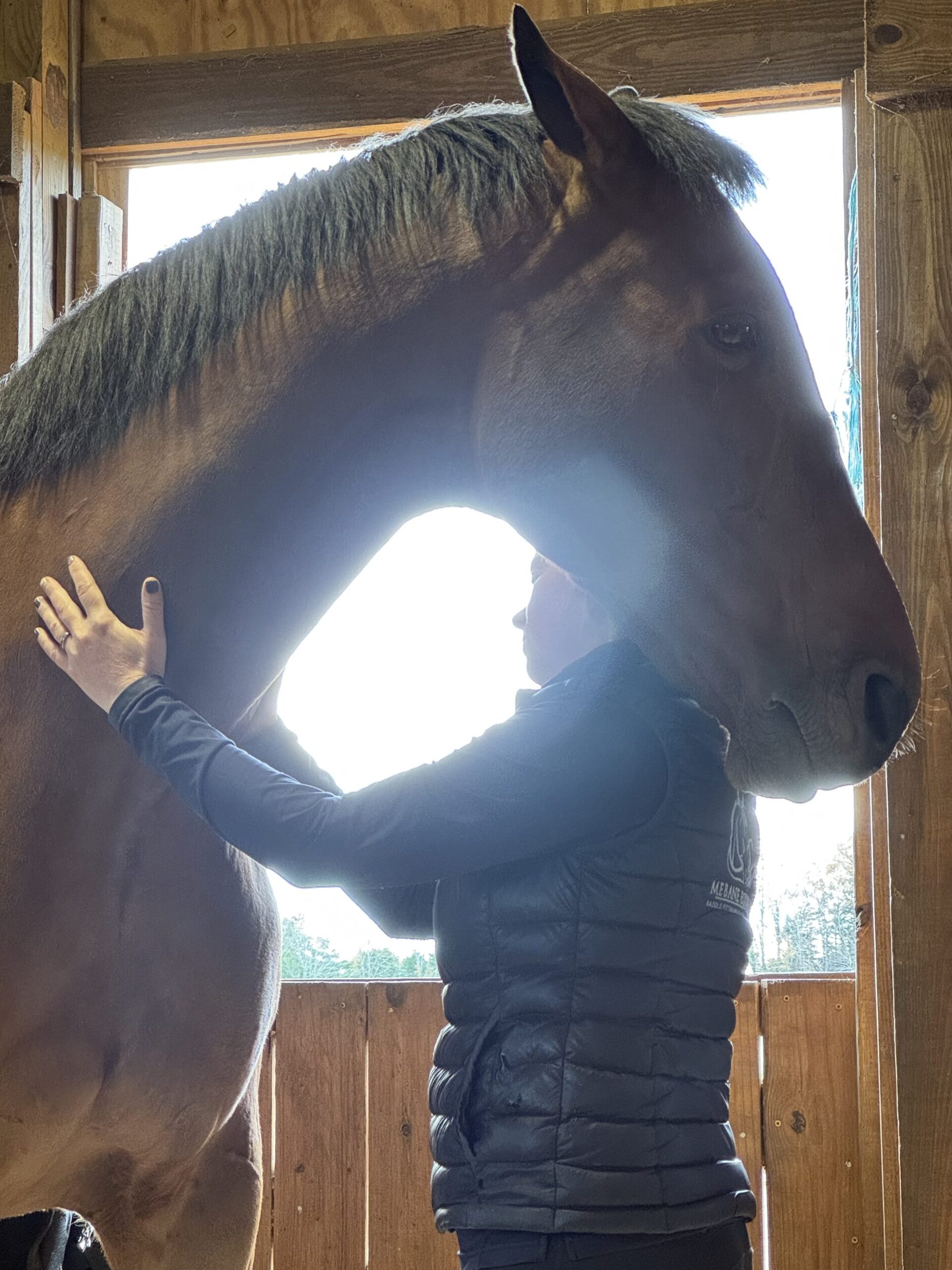 Tara Mebane - Equine Massage Therapist