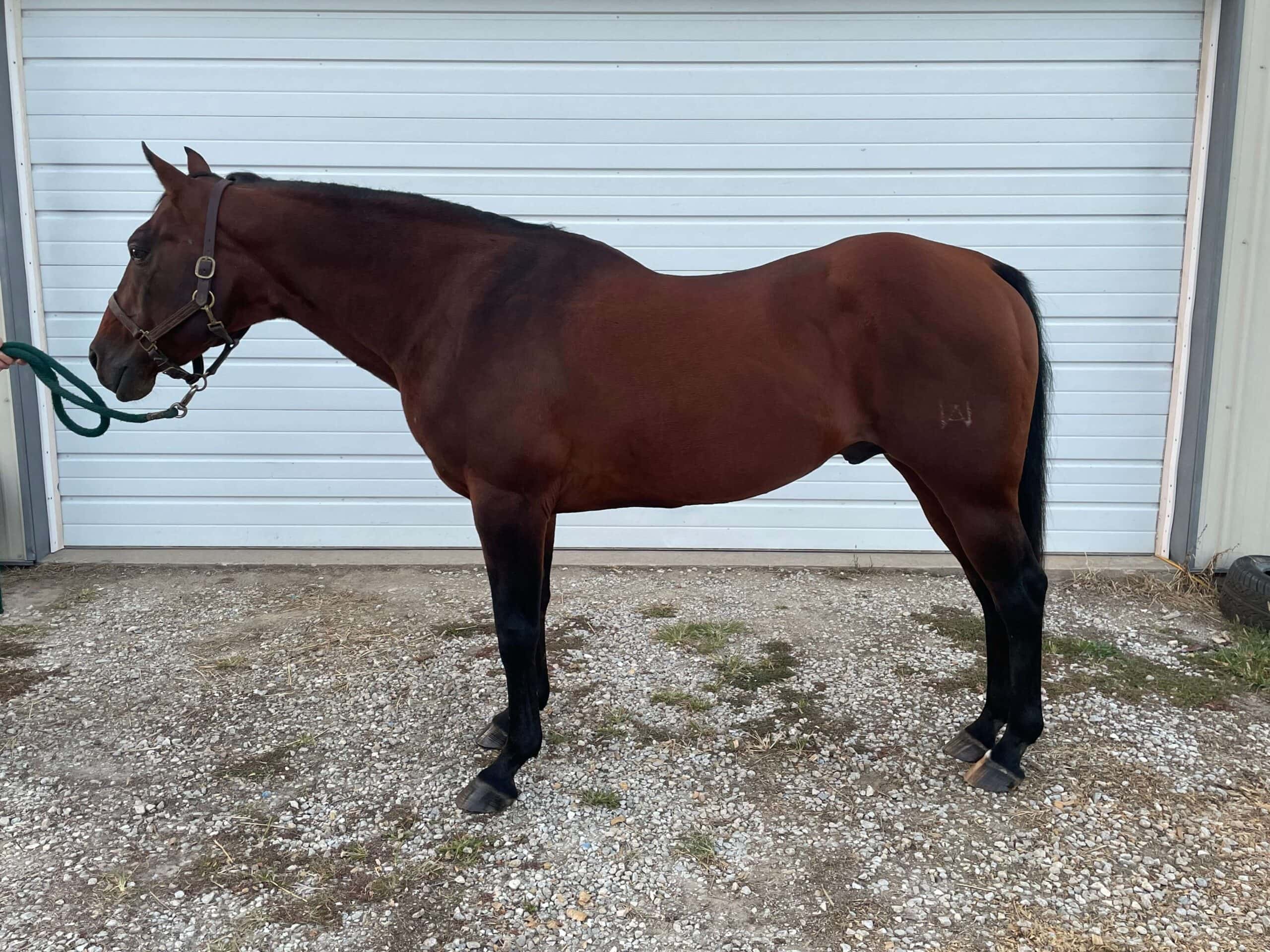 After, September 2024