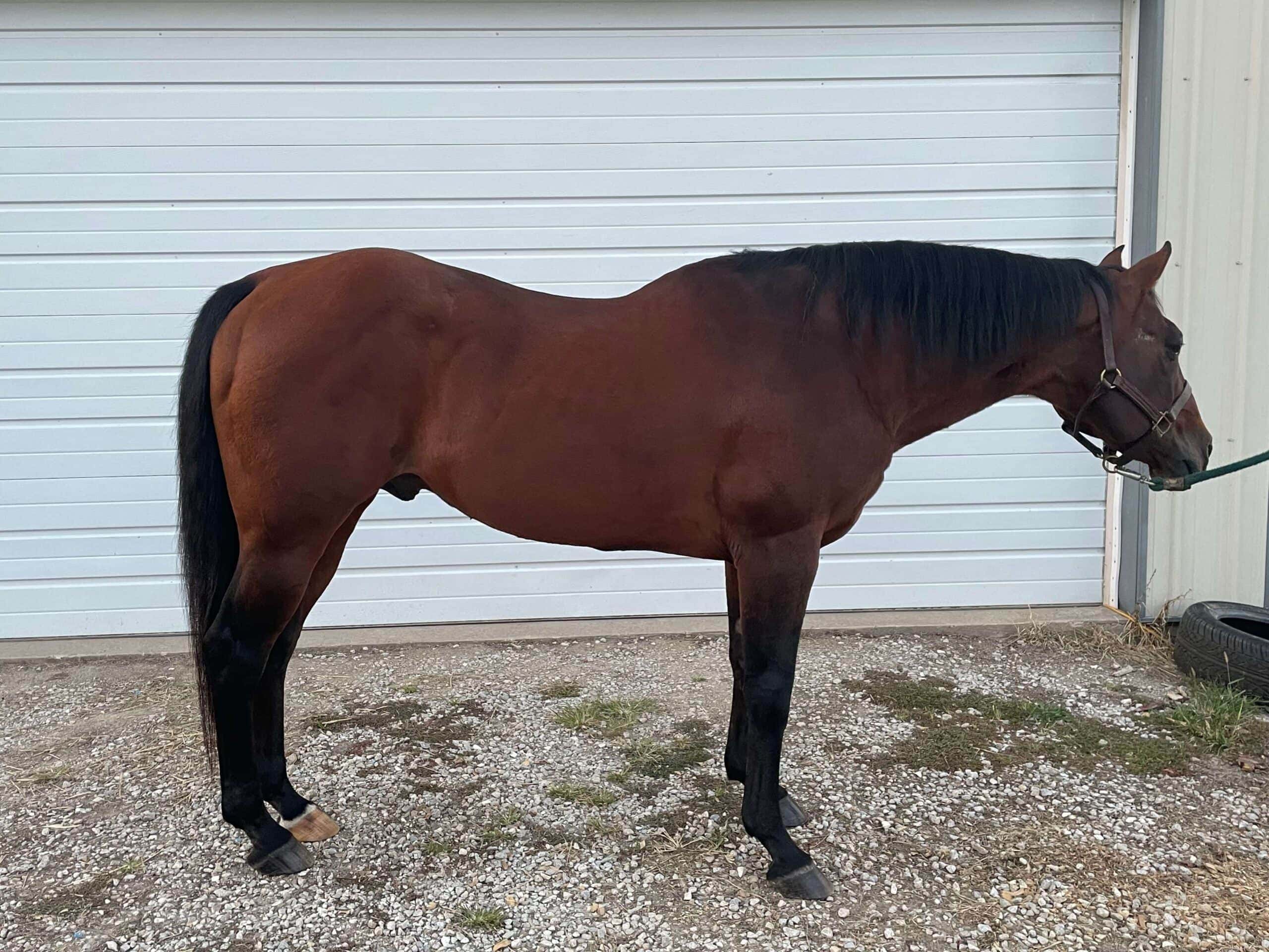 After, September 2024