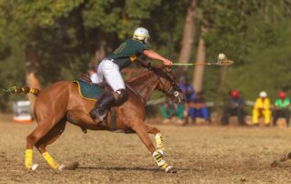 polocrosse-discipline-guide