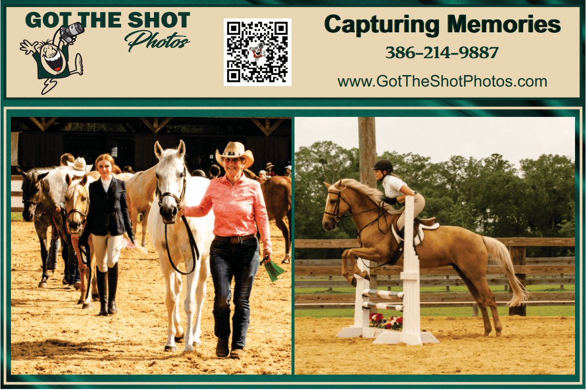 Laura Enwall - Equine Photographer