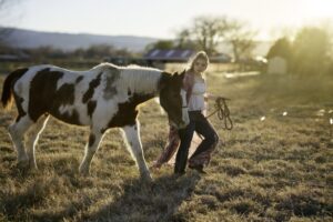 Thoroughbred Bloodlines in Quarter Horse Pedigrees: Comparison, Appendix Crosses & Breeding Trends