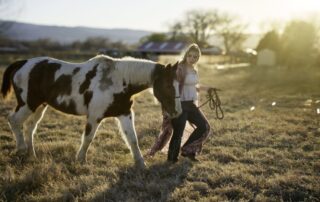 thoroughbred-bloodlines-in-quarter-horse-pedigrees