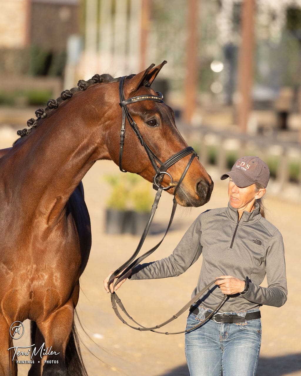 Amy Miller - Boarding Stable