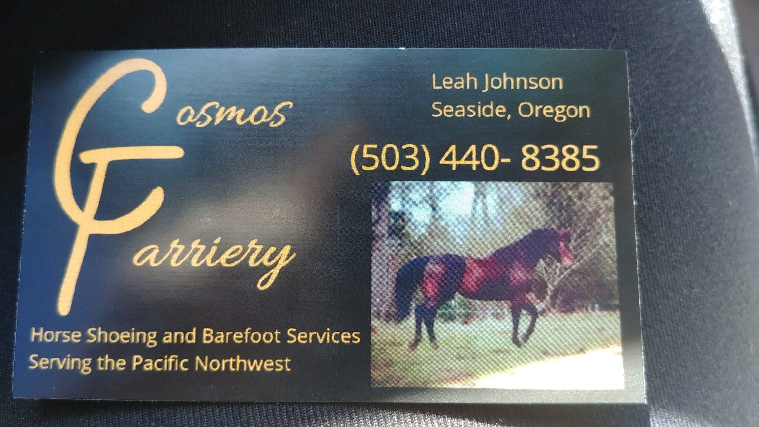 Leah d johnson - Farrier