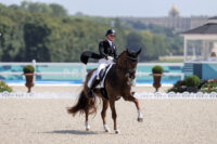 Camille Carier Bergeron: A Canadian Dressage Star on the Rise