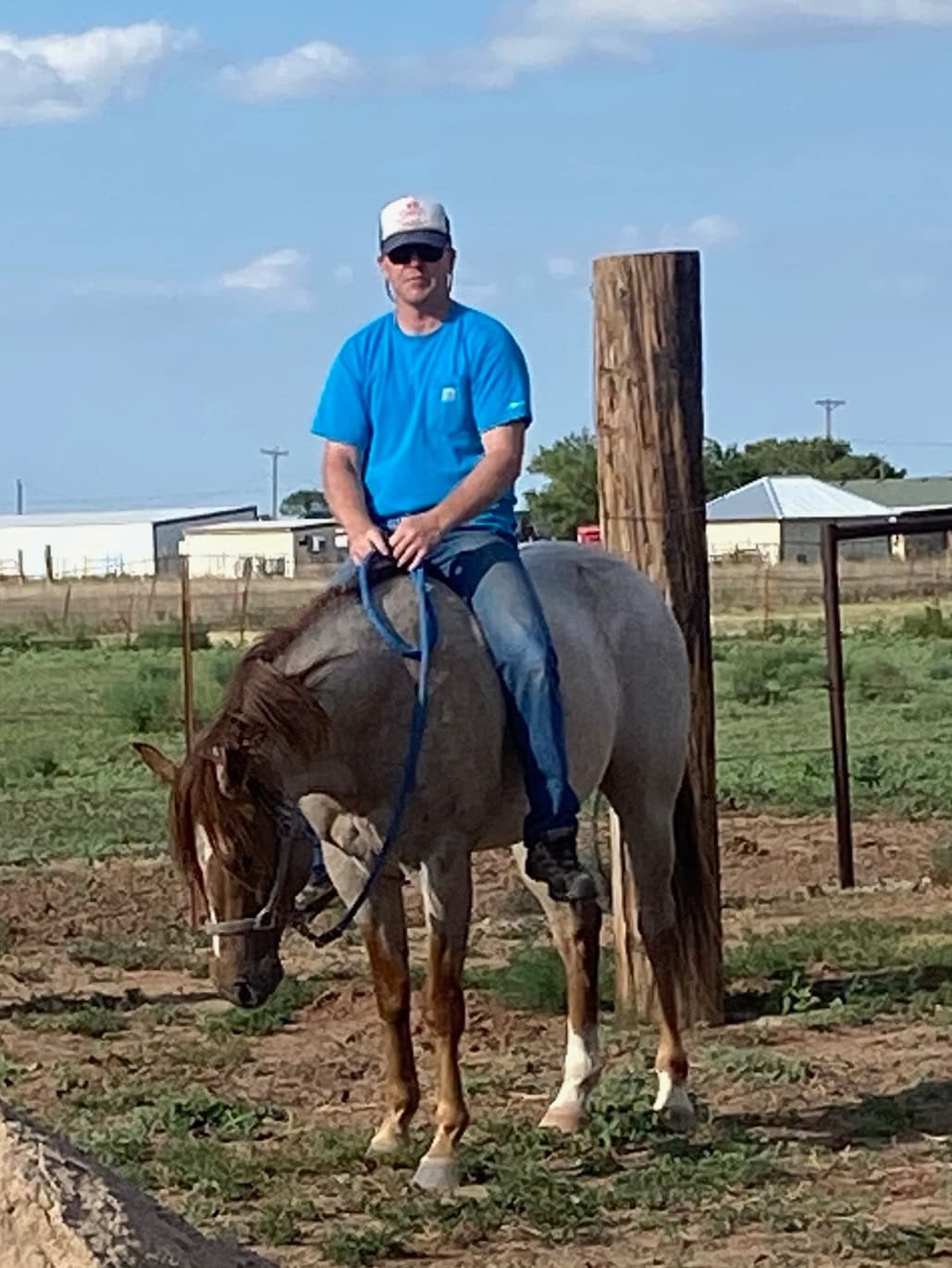 Thomas J Bockholt - Farrier