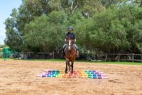 Top 12 Ground Pole Exercises for Horses: Improve Fitness, Coordination & Focus