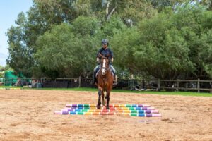 Top 12 Ground Pole Exercises for Horses: Improve Fitness, Coordination & Focus
