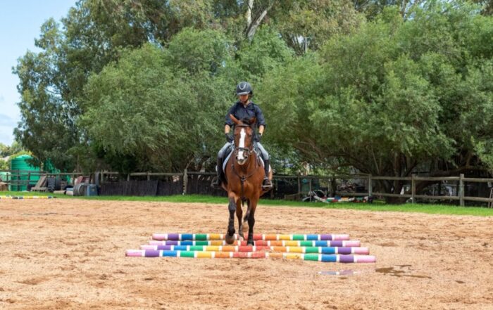 Top 12 Ground Pole Exercises for Horses: Improve Fitness, Coordination & Focus