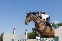 Top 7 Gymnastic Jumping Exercises for Horses: Improve Strength, Balance & Performance