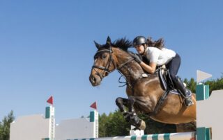 gymnastic-jumping-exercises-for-horses