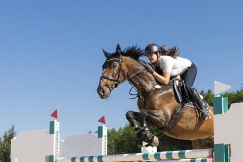 gymnastic-jumping-exercises-for-horses