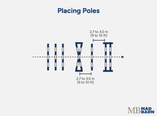 gymnastic jumping exercises for horses: placing poles