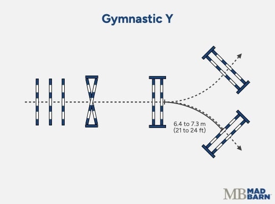 gymnastic jumping exercises for horses: gymnastic y