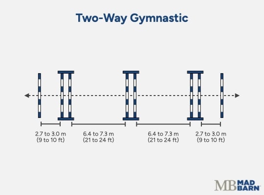 gymnastic jumping exercises for horses: two-way gymnastic