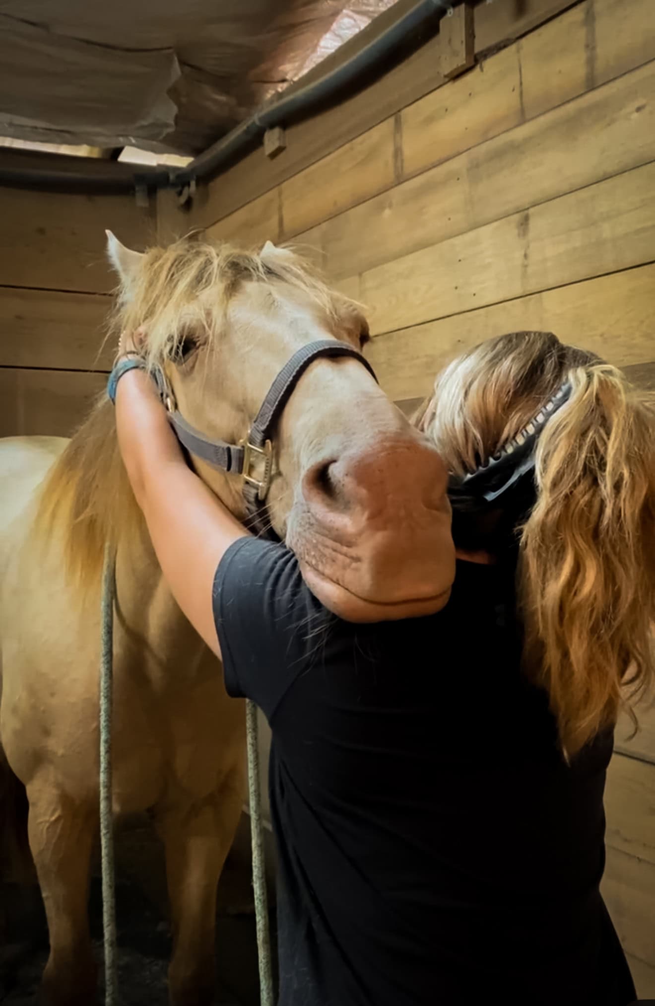 Leah Tucker - Equine Massage Therapist