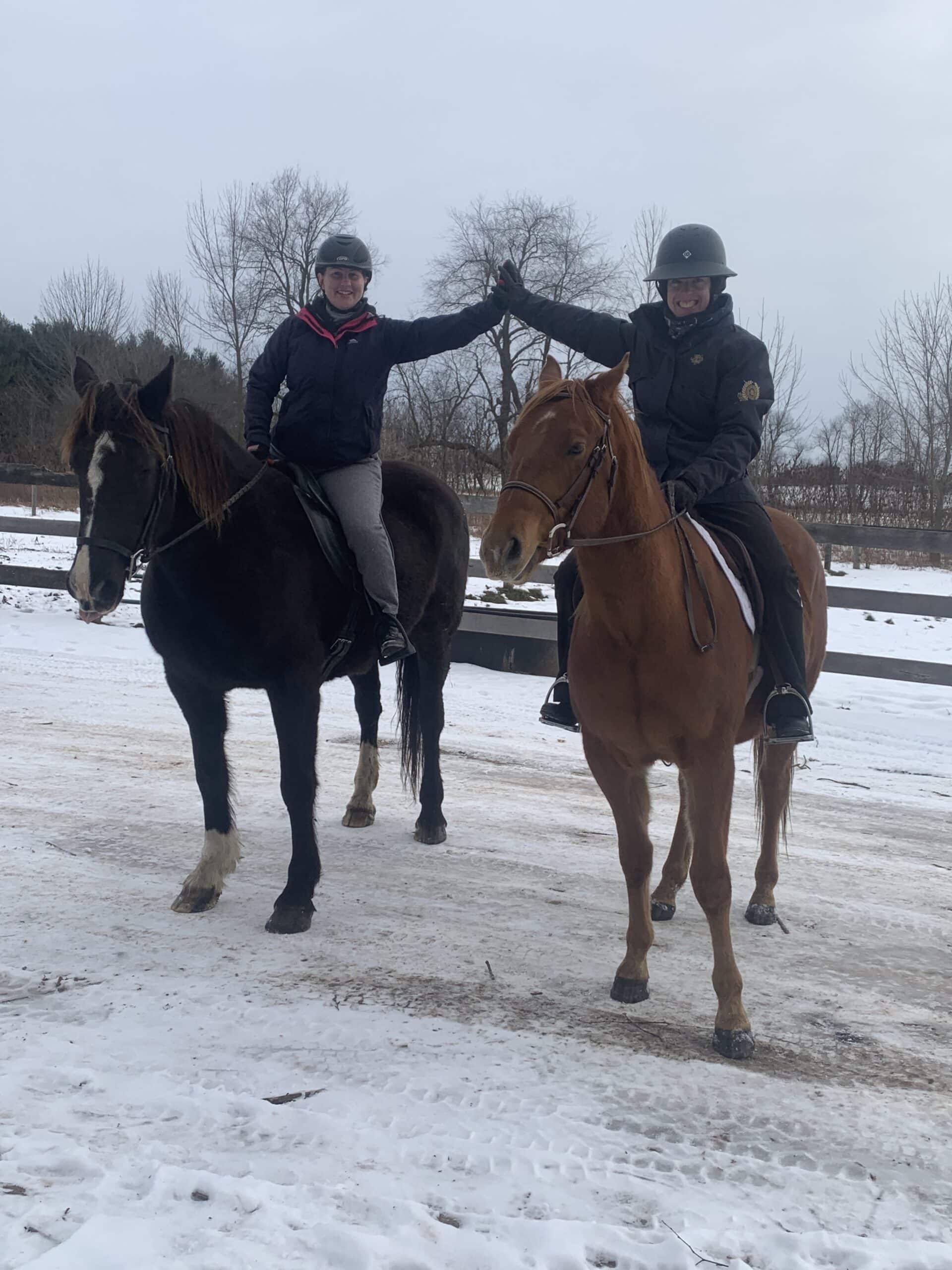 Jean Thomas - Boarding Stable
