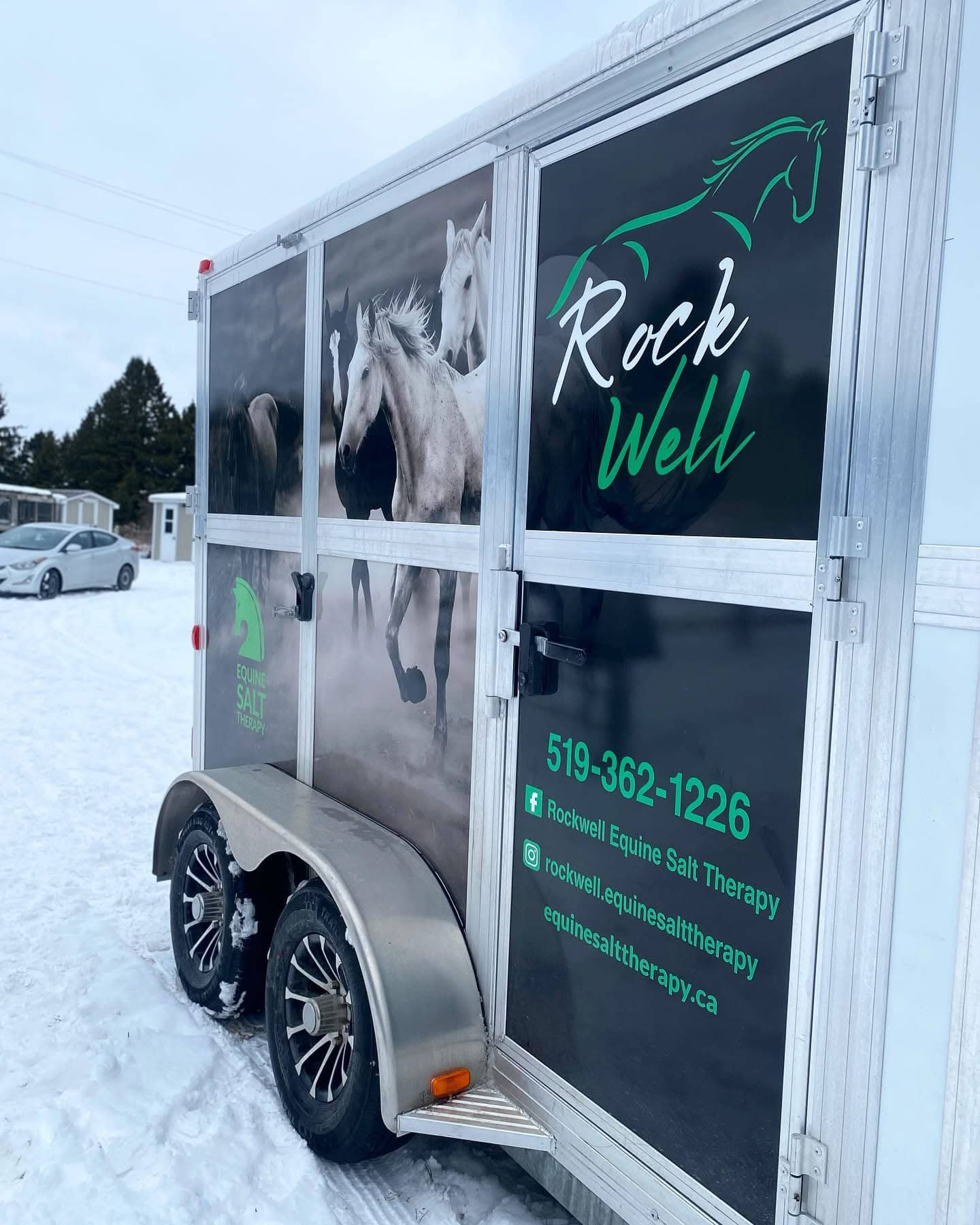 Rock Well Equine Salt Therapy - 