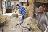 How to Reduce Hay Waste on Horse Farms: 5 Tips to Lower Costs