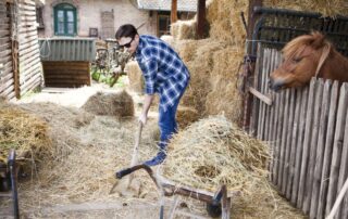 reducing-hay-waste-on-horse-farms