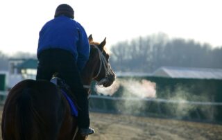 retraining-incentives-for-ottb