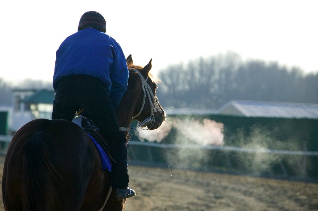 Purchasing an OTTB: Retraining Incentives, Competitions & Thoroughbred Makeover