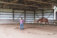 Returning Horses to Work: Ensuring a Successful Comeback from Injury or the Off-Season