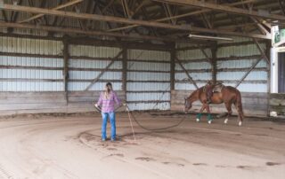 returning a horse to work