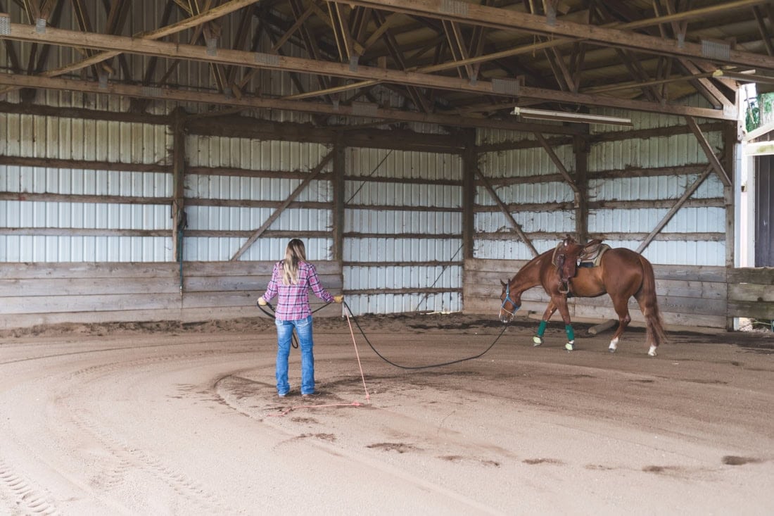 Returning Horses to Work: Ensuring a Successful Comeback from Injury or the Off-Season