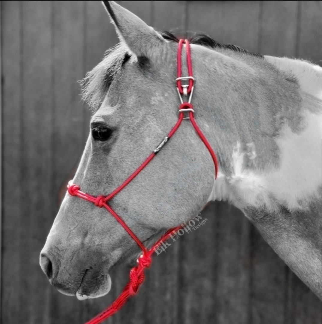 Arien Harp - Tack Shop