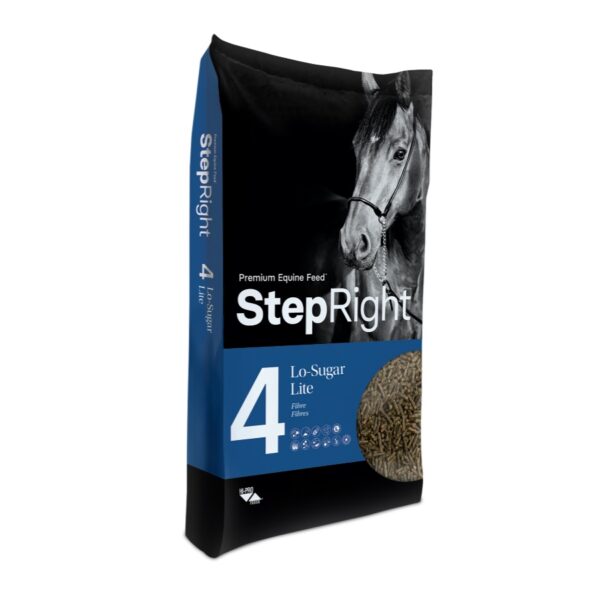 Step 4 Lo-Sugar Lite (Step Right)