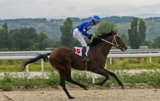 tongue-ties-and-welfare-in-racehorse-training