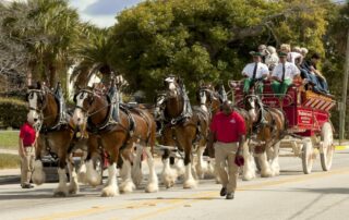 who-are-the-budweiser-clydesdales