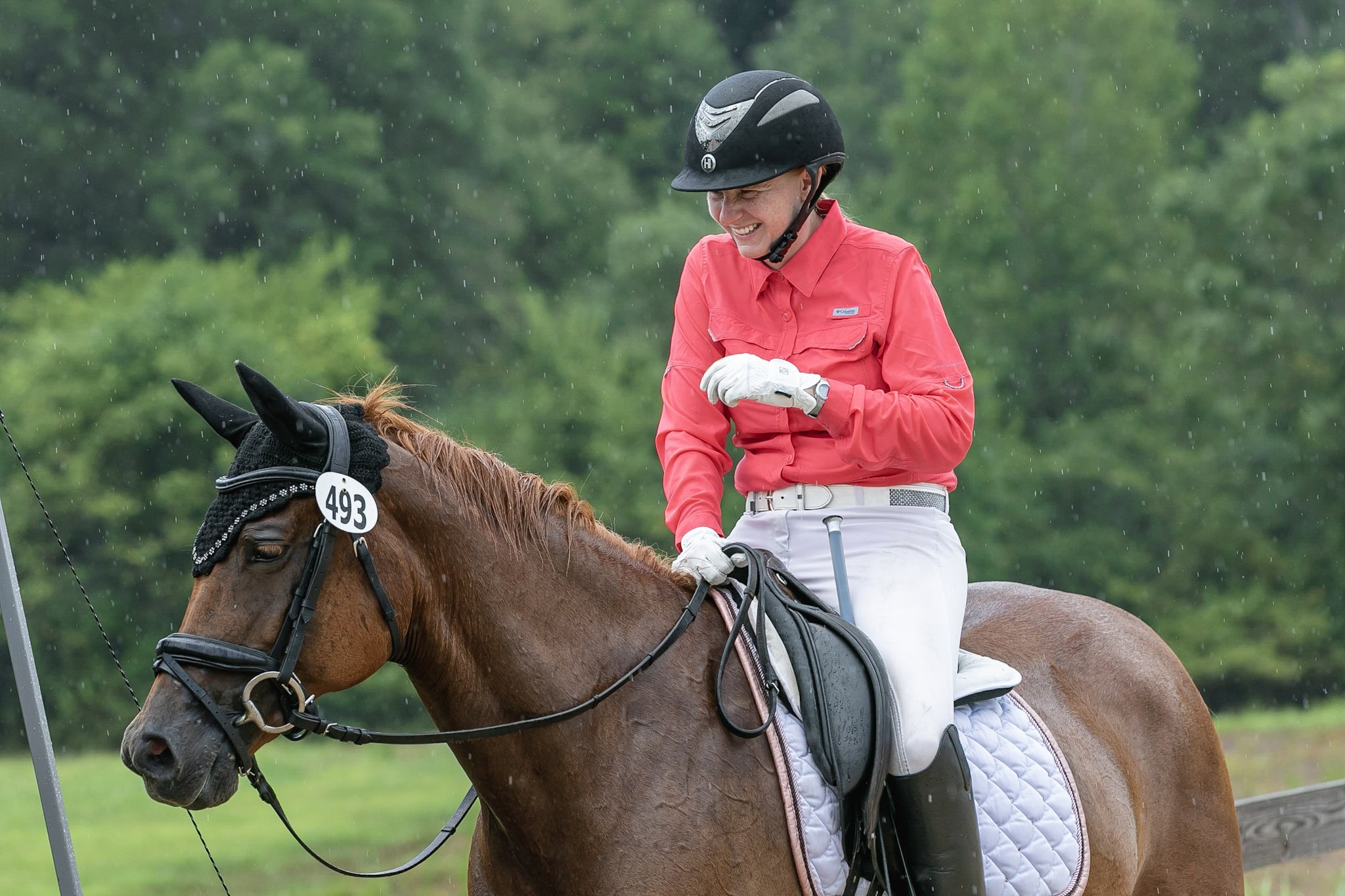 SJ Equestrian - Coaches & Trainers