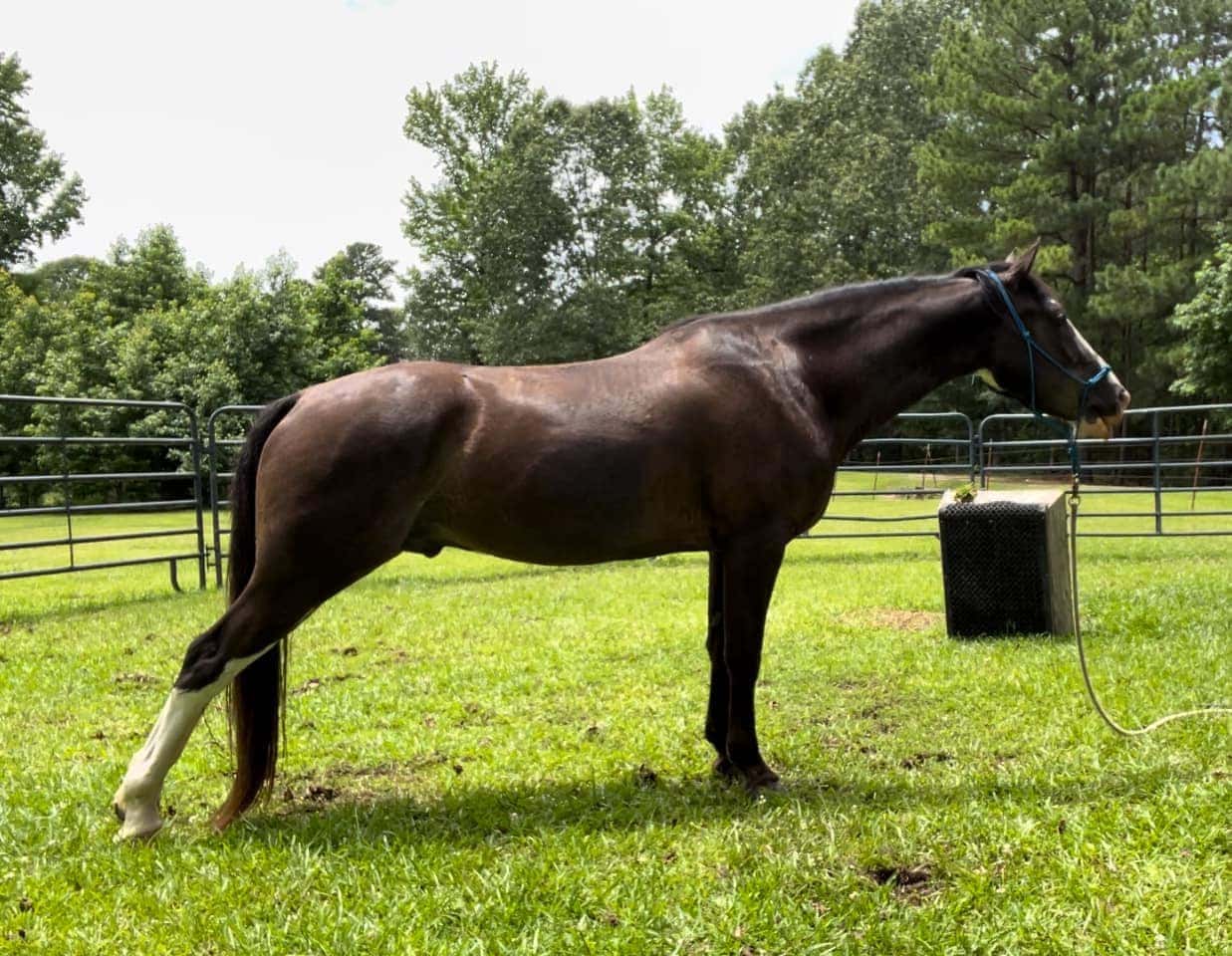 kevin, body condition after