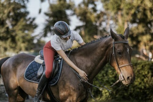 fitness-exercises-for-equestrians