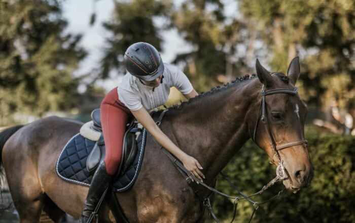 Fitness Exercises for Equestrians: Improving Rider Strength, Flexibility & Mobility