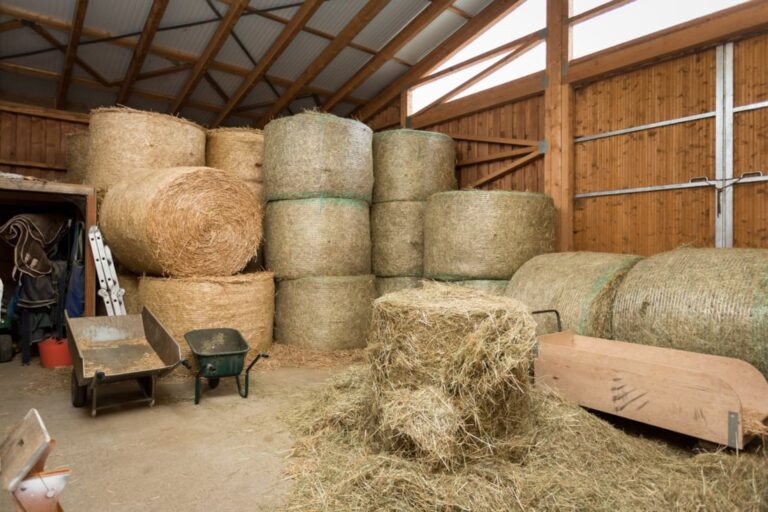hay-storage-for-horse-farms