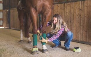 ice boots for horses