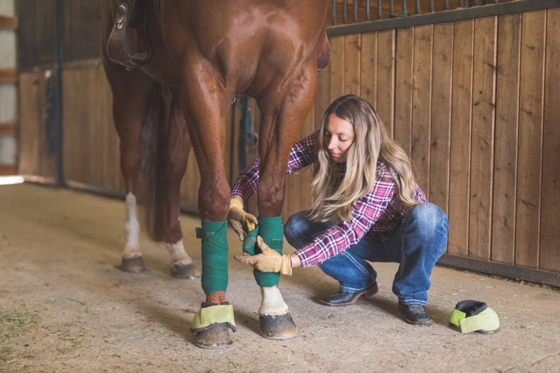 Ice Boots for Horses: Types, Uses & How to Apply Cold Therapy