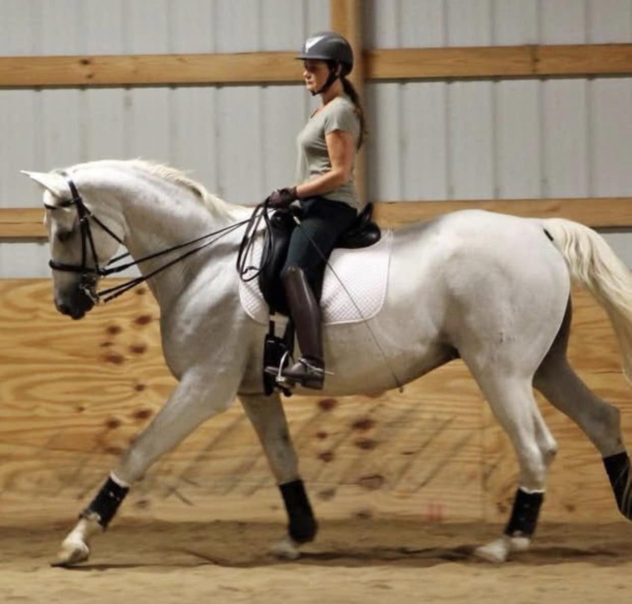 Lou Sanders - Equine Massage Therapist